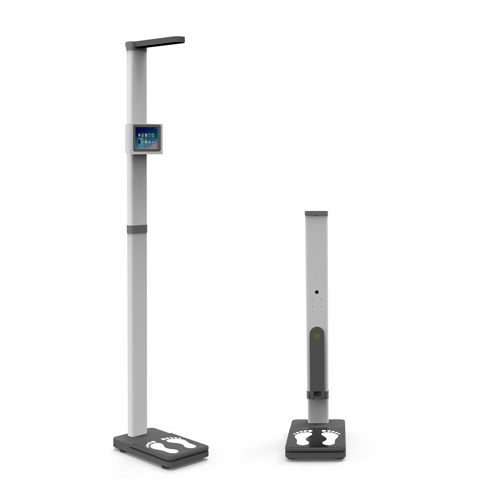 Weight Height BMI Scale